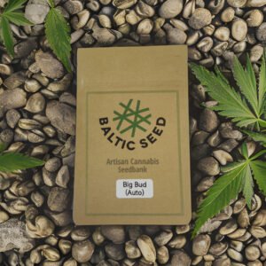 Big Bud