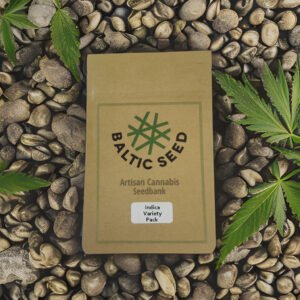 Evening Indica Multi Pack