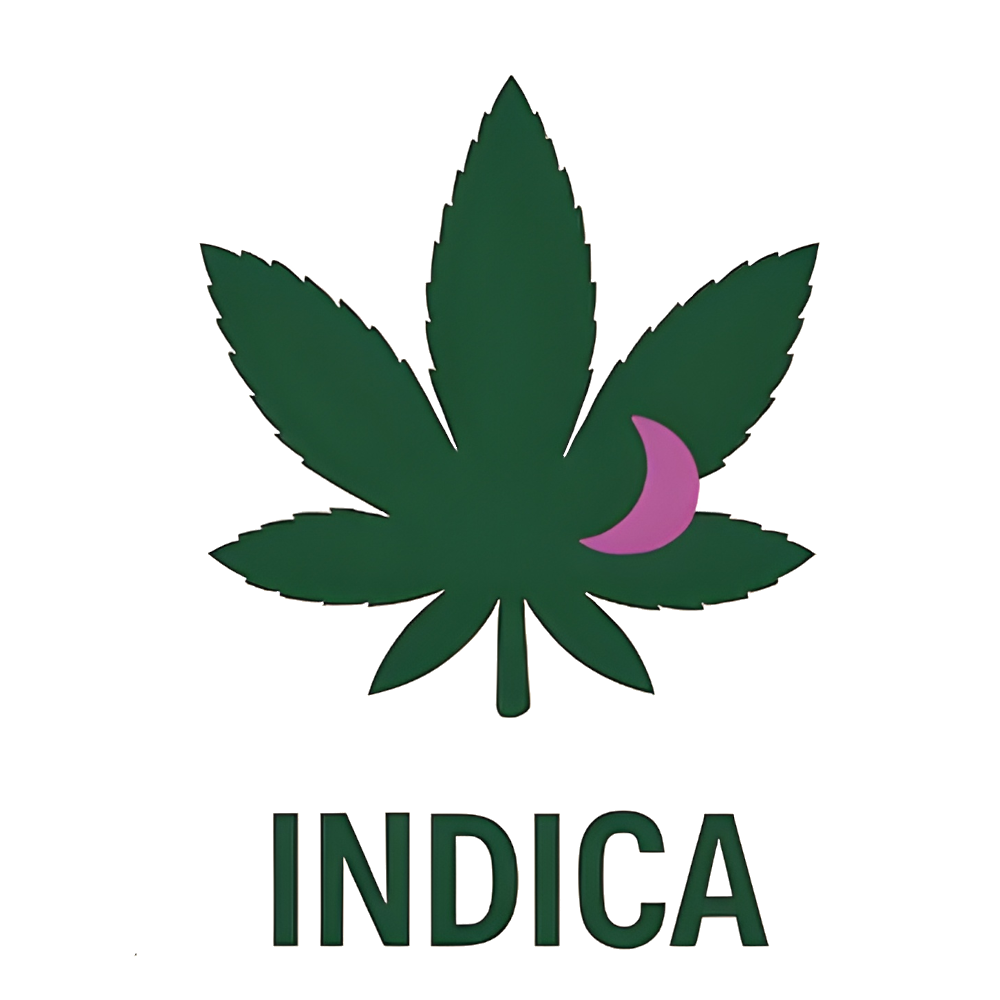 Northern Light Feminised Seeds
