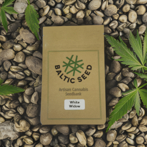 White Widow